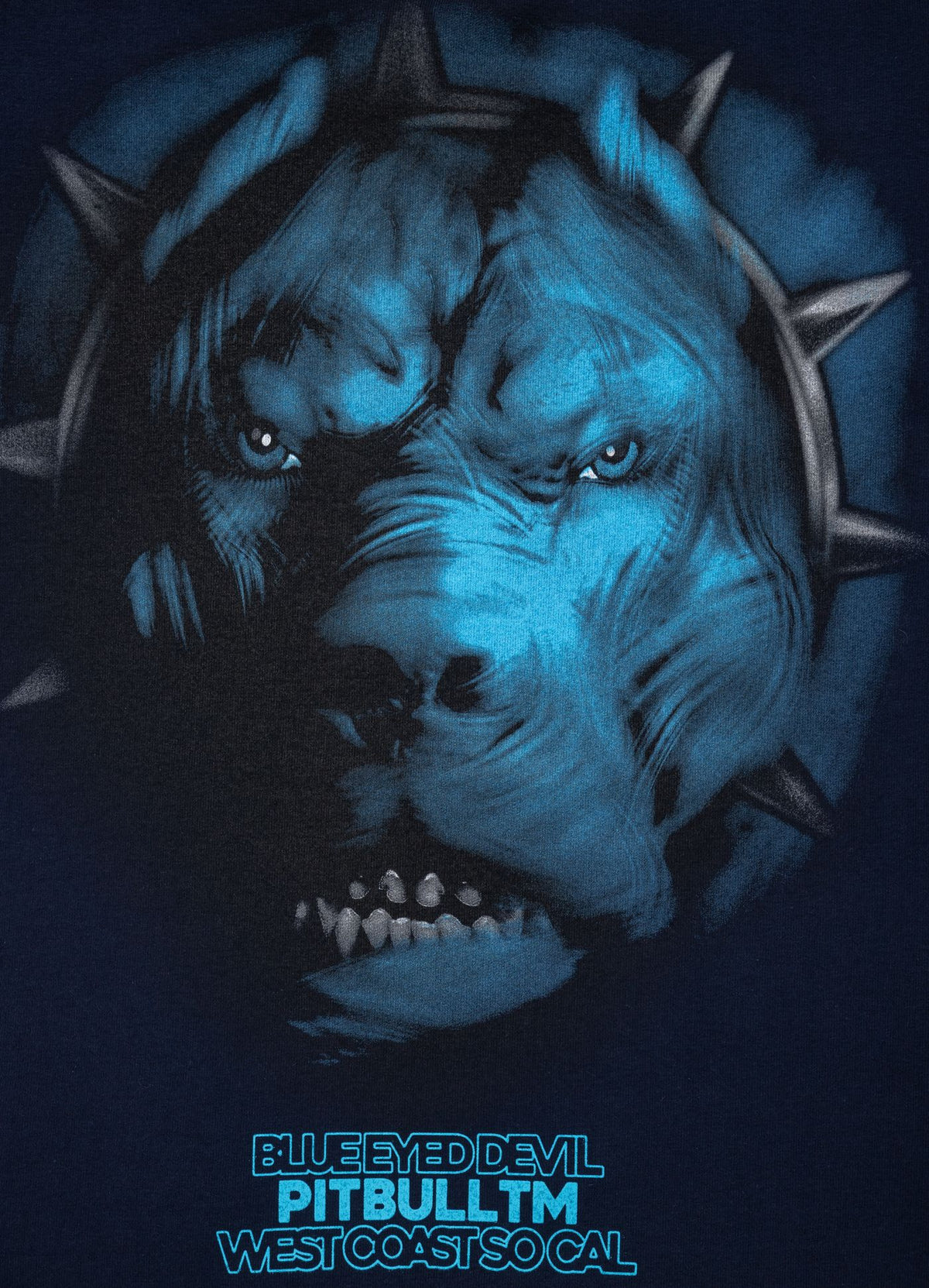 Hoodie Blue Eyed Devil V