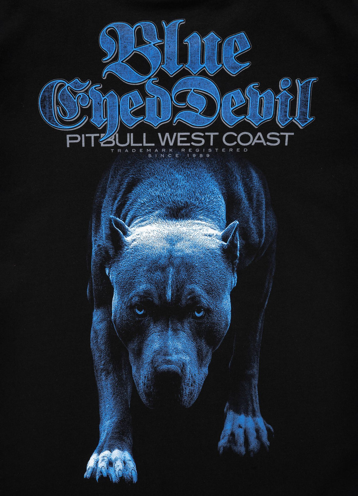 Women's T-shirt Blue Eyed Devil 21