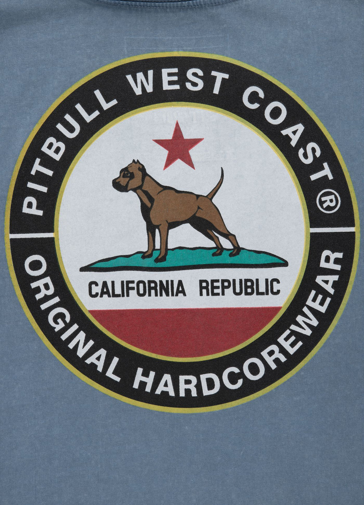 T-shirt Denim Washed California Dog