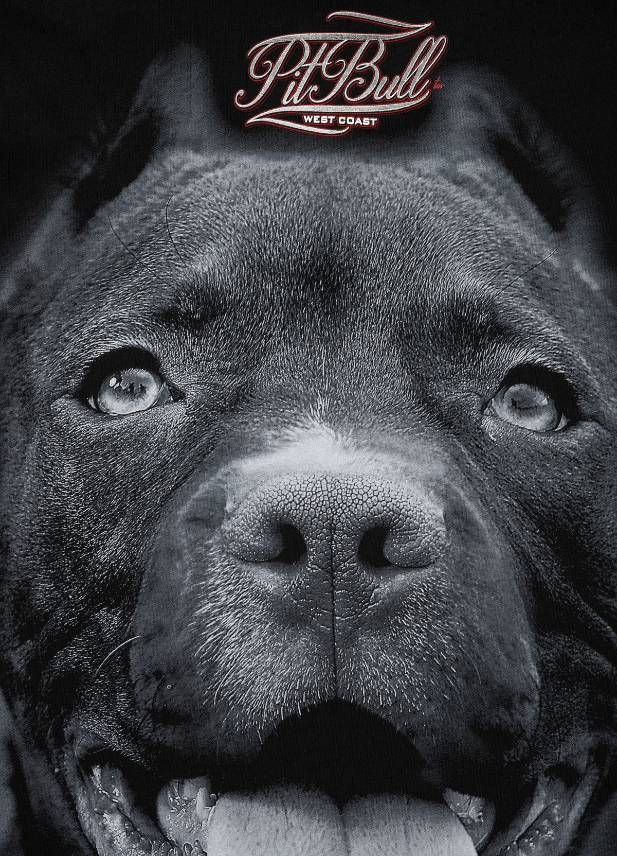 T-shirt Pitbull IR
