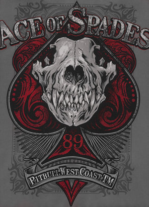 Men's Zip-up hoodie Washed ACE OF SPADES - Gray