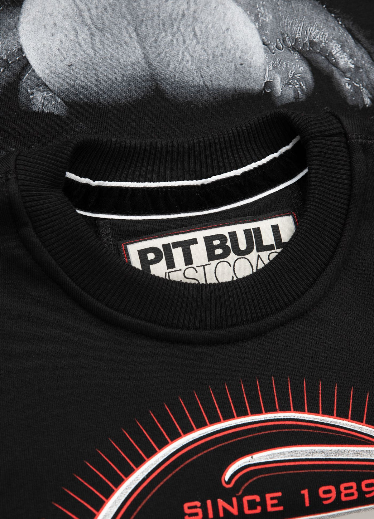 Crewneck Pitbull IR