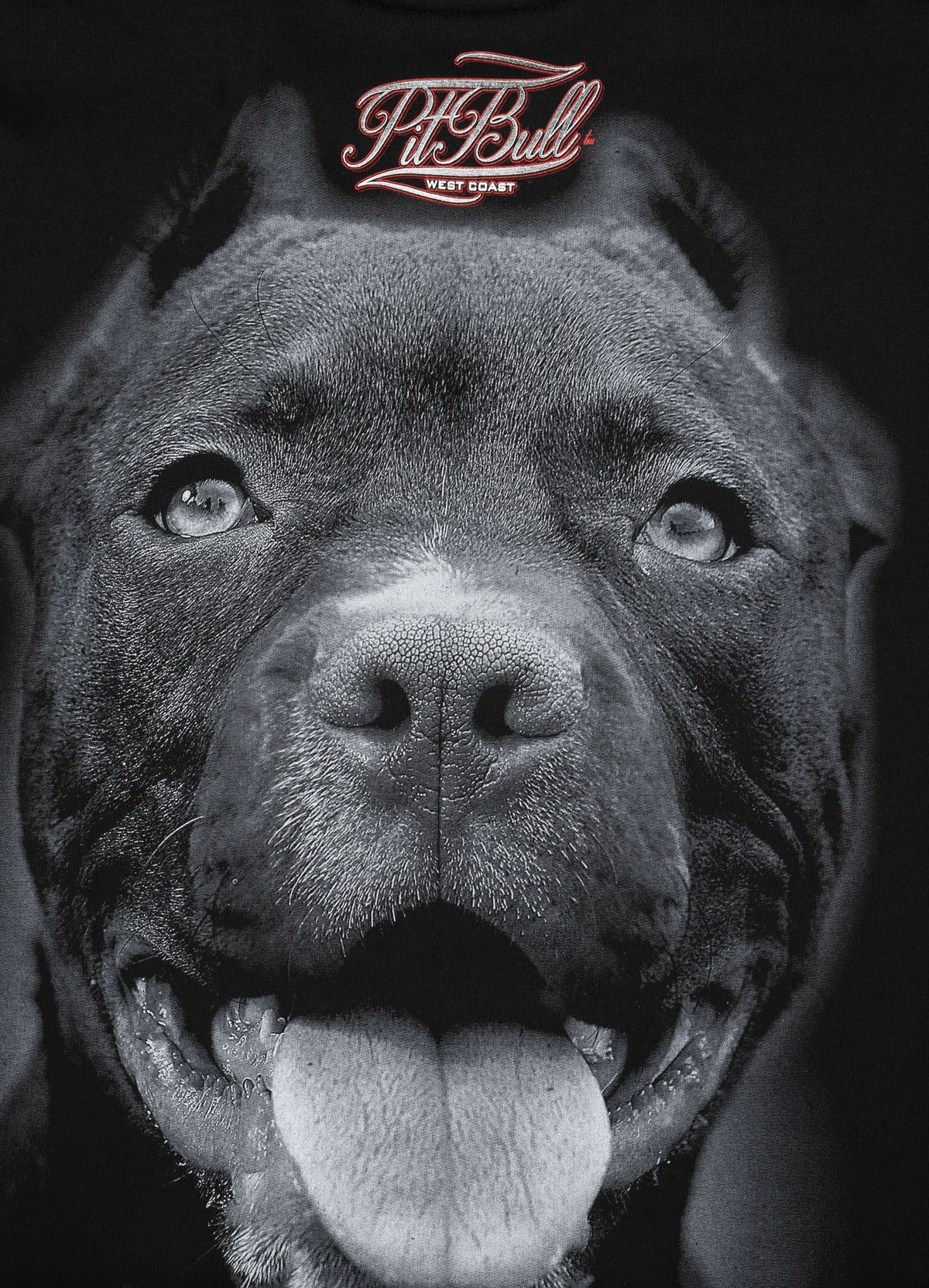 Crewneck Pitbull IR