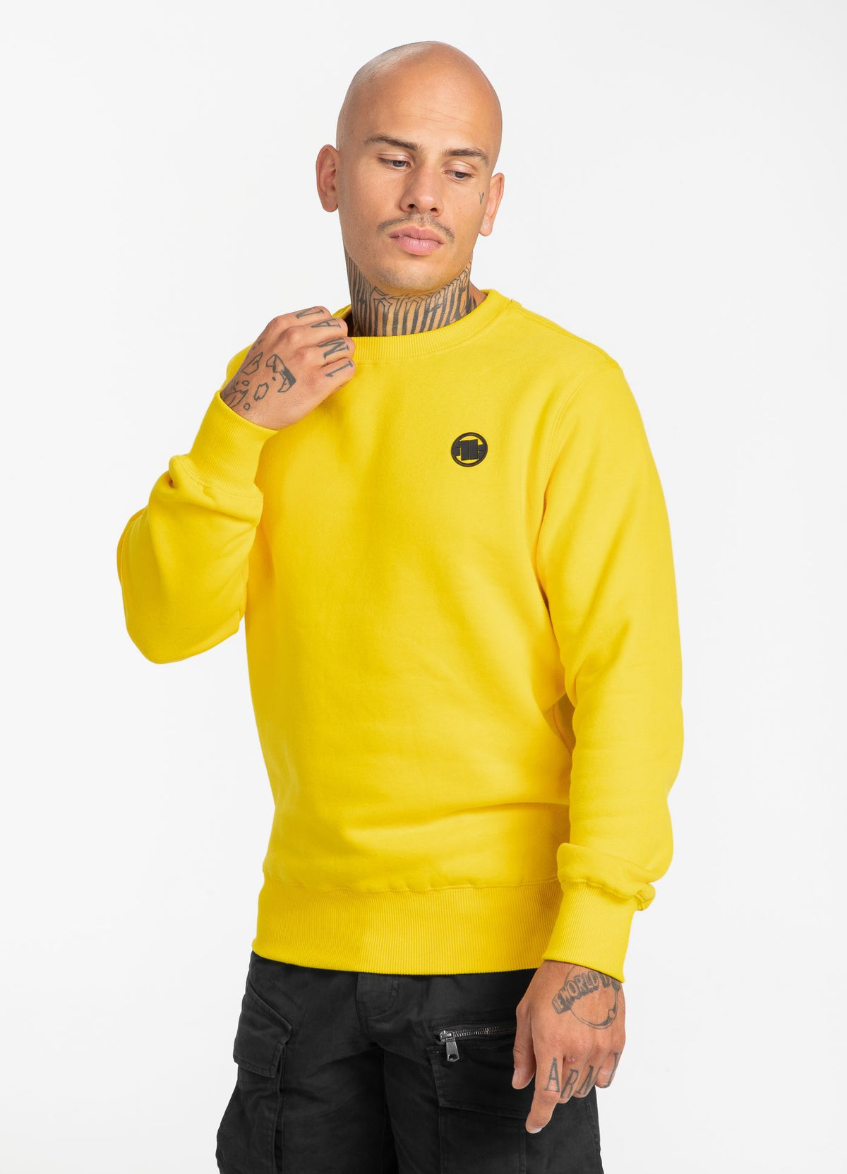 Sweatshirt Small Logo 21 - Pitbull.eu