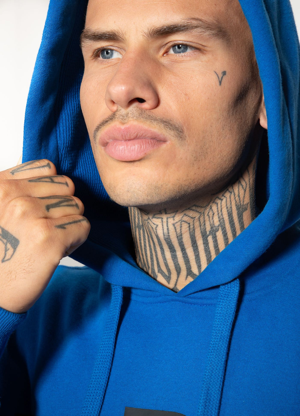 Hoodie Classic Boxing 21 - Pitbull.eu