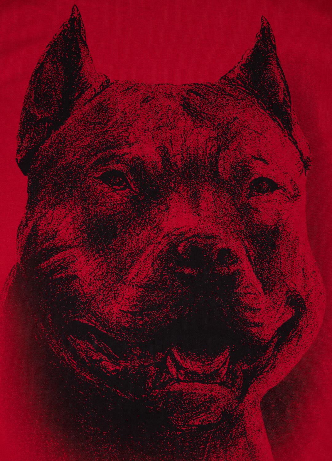 Men's Hoodie Tricot Red Nose