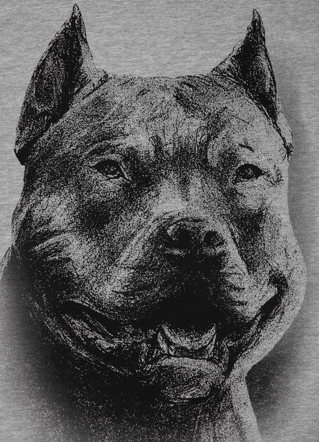 Men's Hoodie Tricot Red Nose