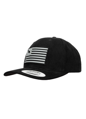 Snapback kapa Pitbull USA