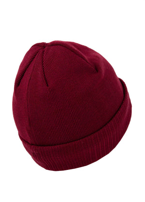 Winter beanie Small Logo