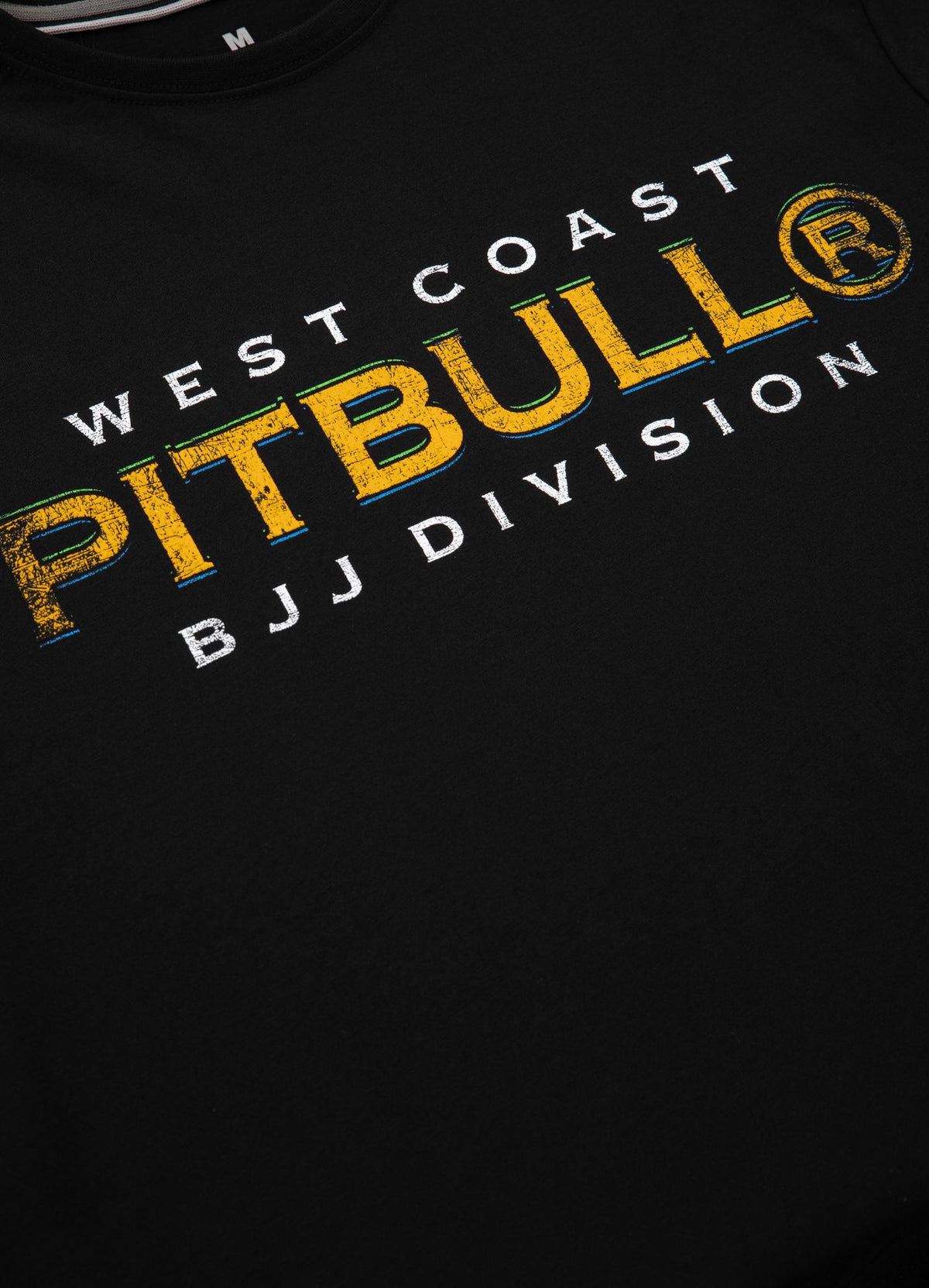 T-Shirt BJJ 19
