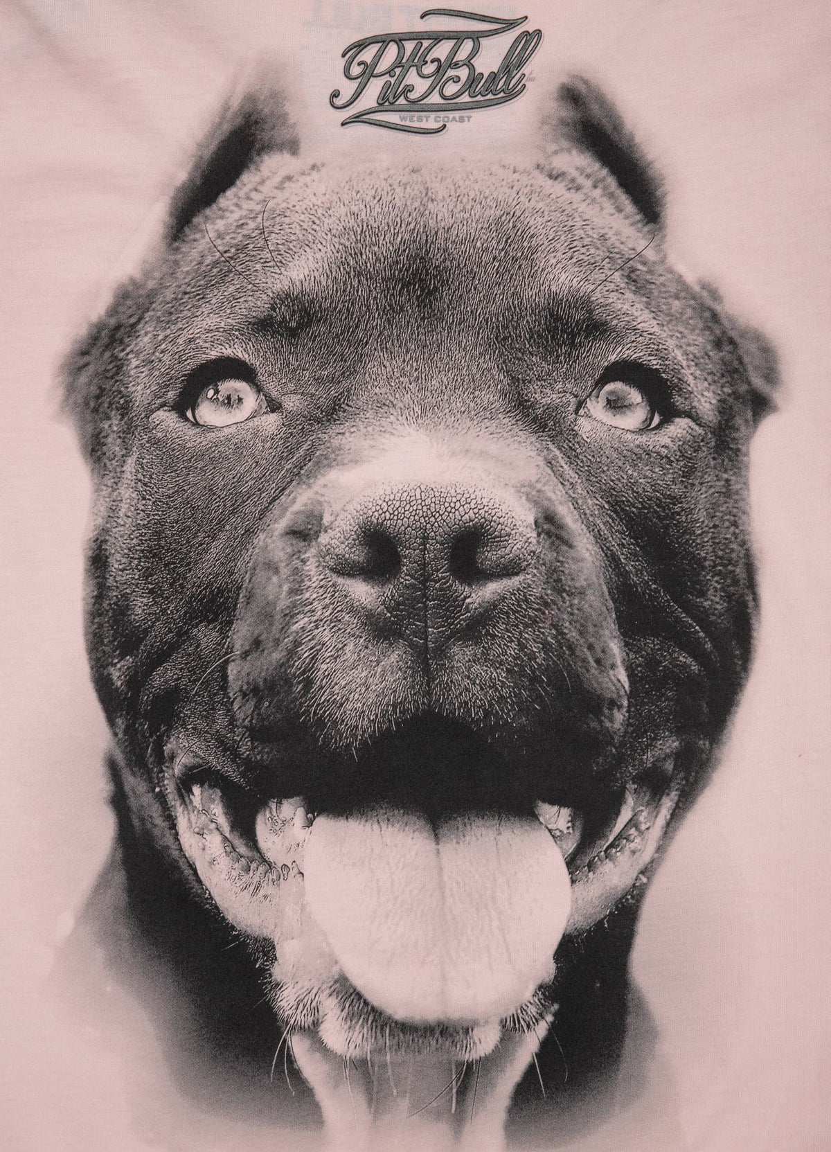 Women T-shirt Pitbull IR