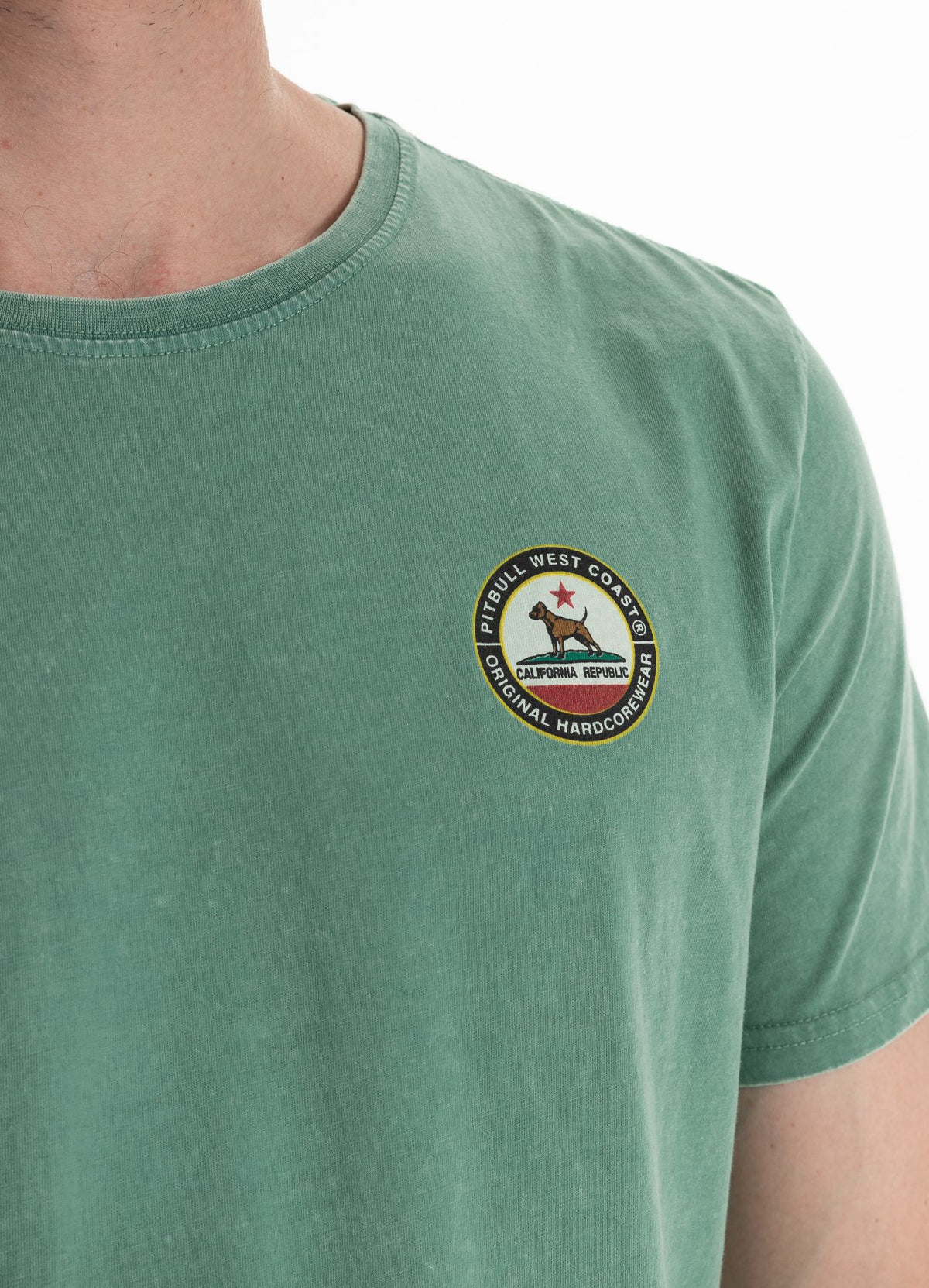 T-shirt Denim Washed California Dog