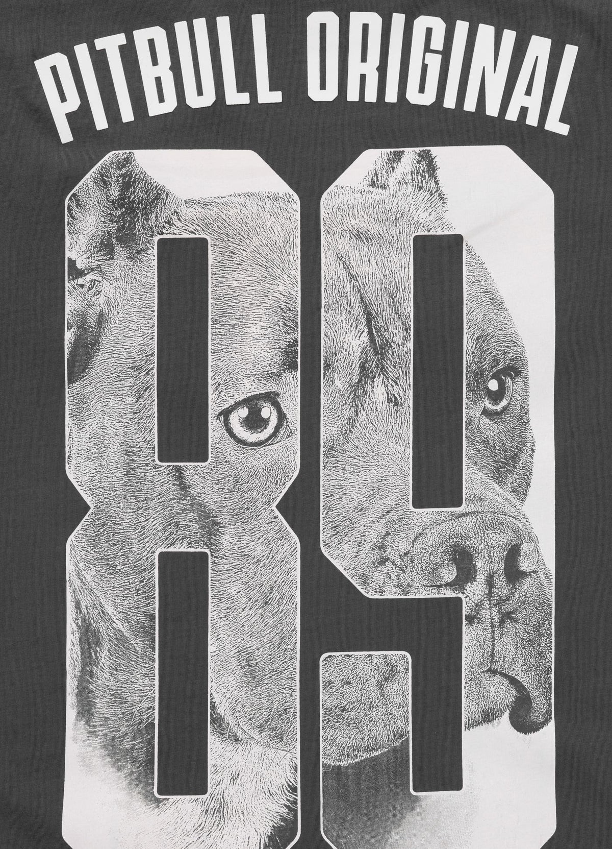 Muška majica kratkih rukava EIGHTY NINE DOG - Grafit