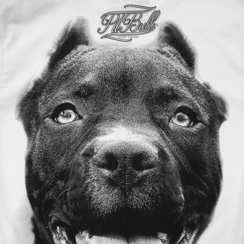 T-shirt Pitbull IR