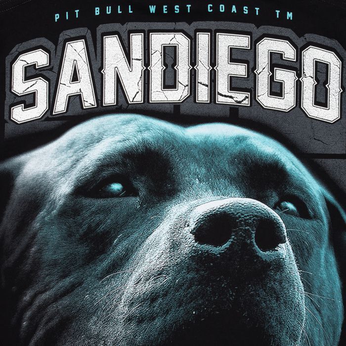 T-shirt San Diego 19