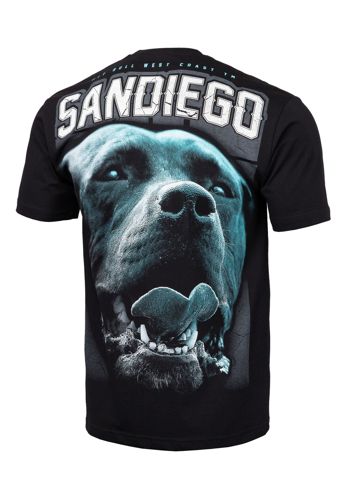 T-shirt San Diego 19