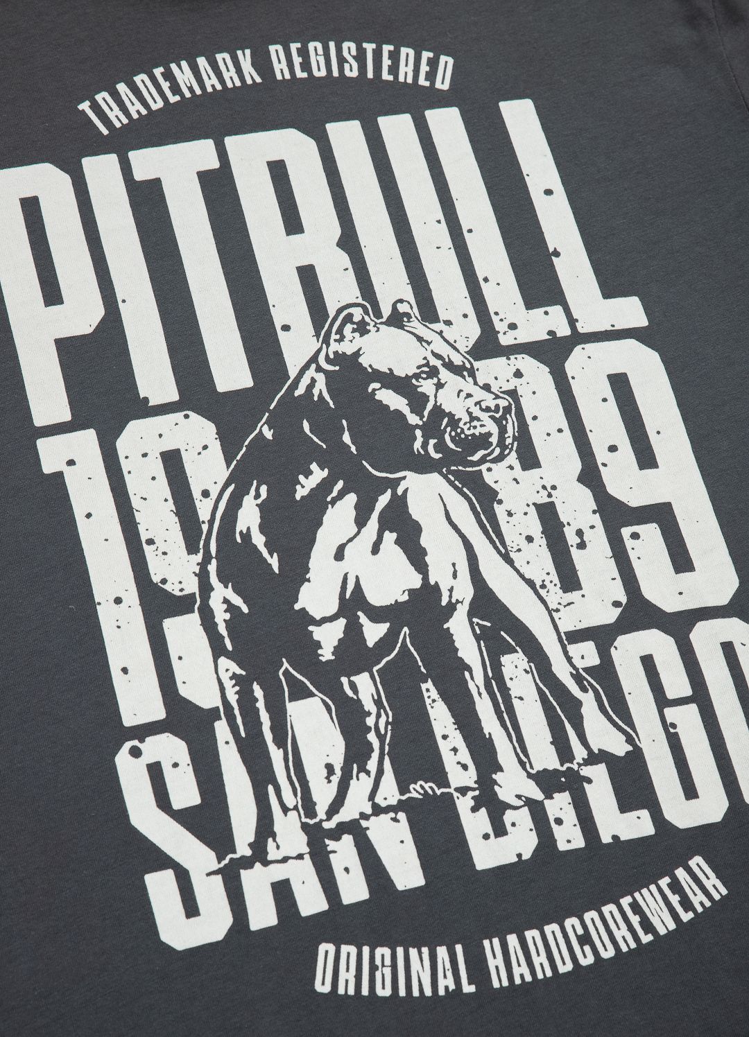 Men's T-Shirt SAN DIEGO DOG - Graphite