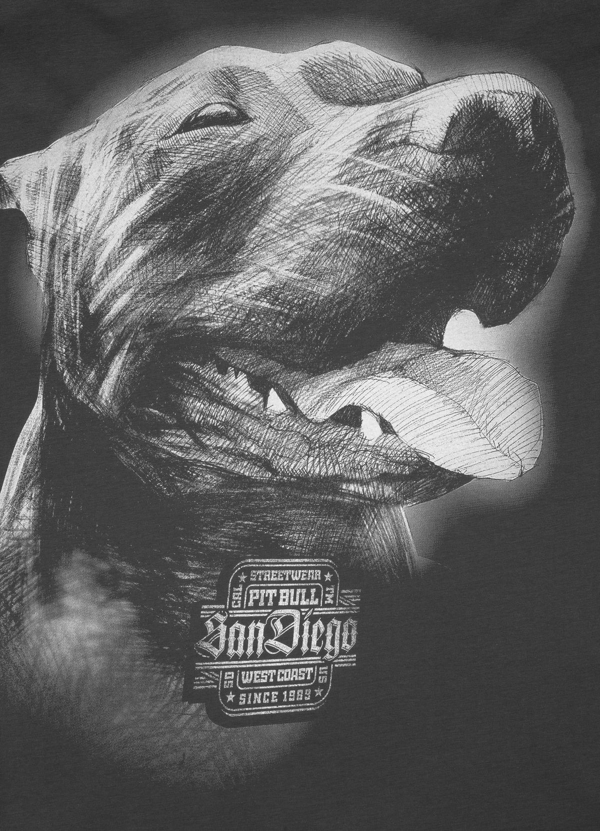 T-shirt San Diego IV - Pitbull.eu