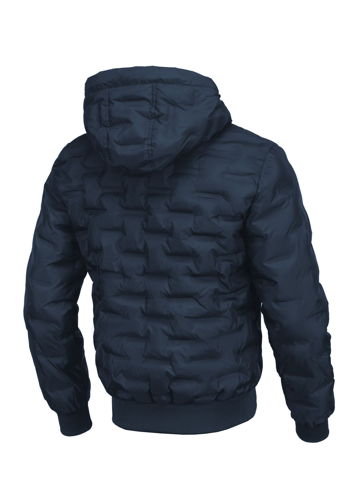 Men's winter jacket Carver