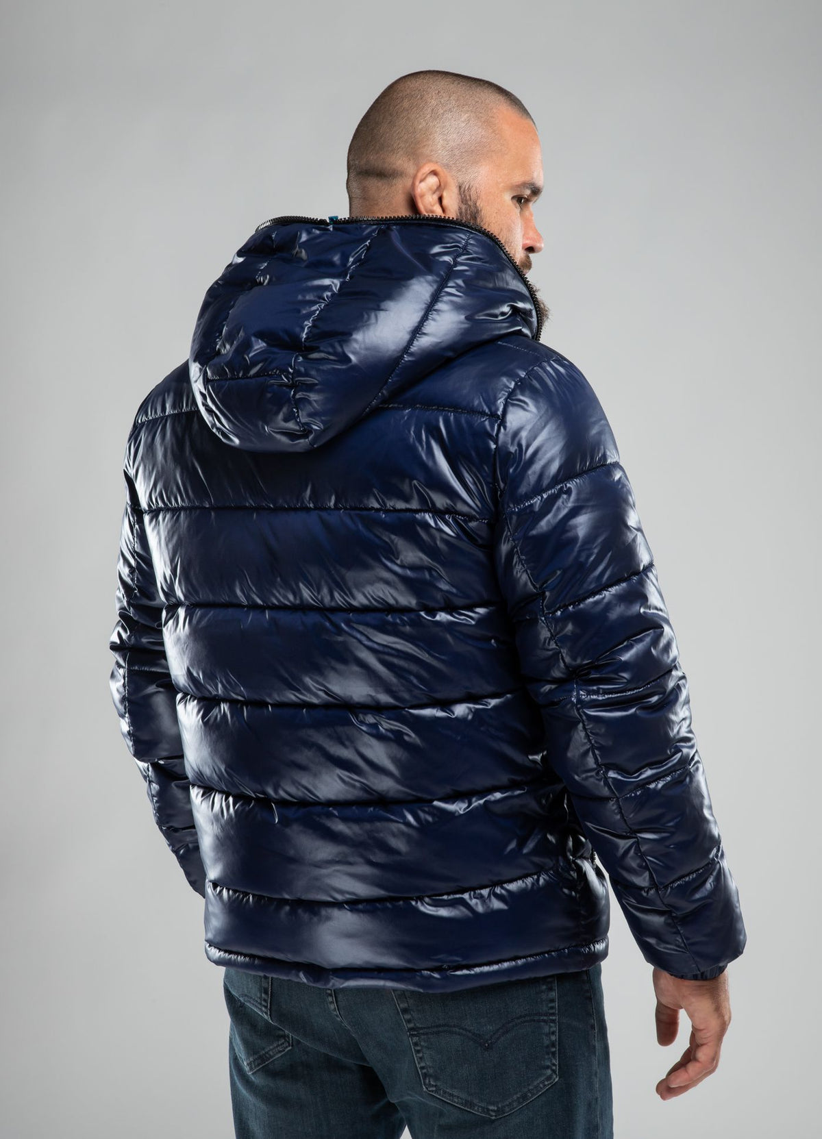 Men's winter jacket Shine - Pitbull.eu