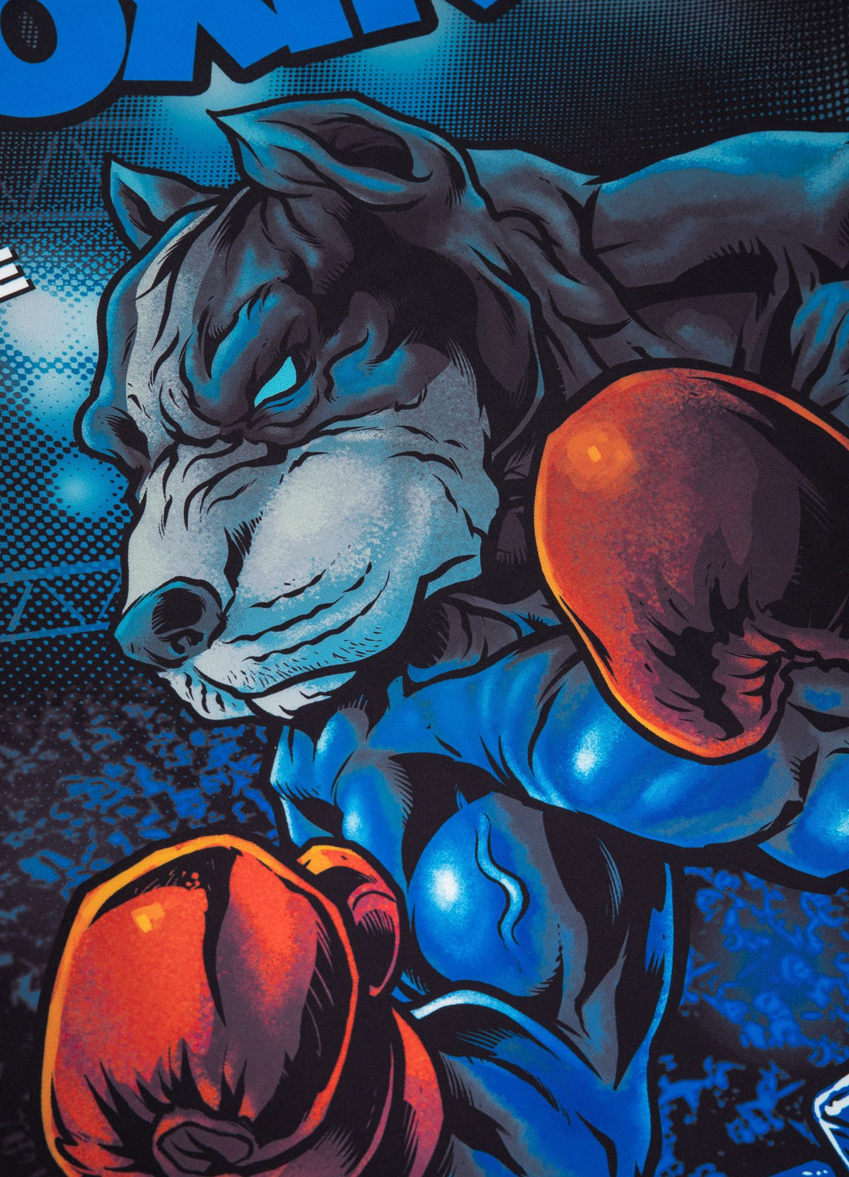 Rashguard s dugim rukavima Masters Of Boxing Hilltop