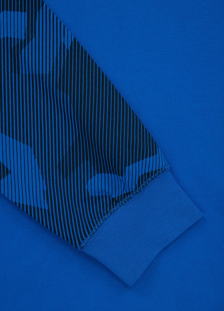 S kapuljačom dugih rukava Heavyweight Spandex HILLTOP Blue Dillard