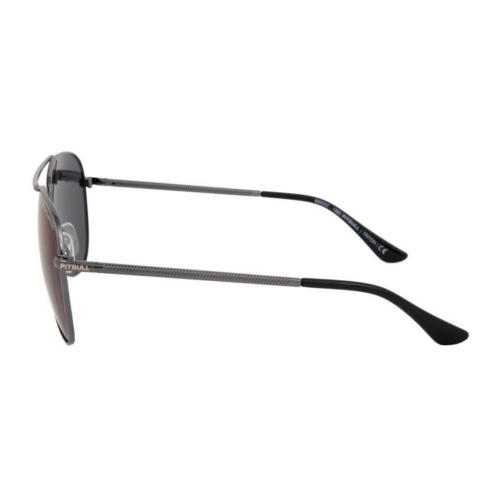 Sunglasses Triton