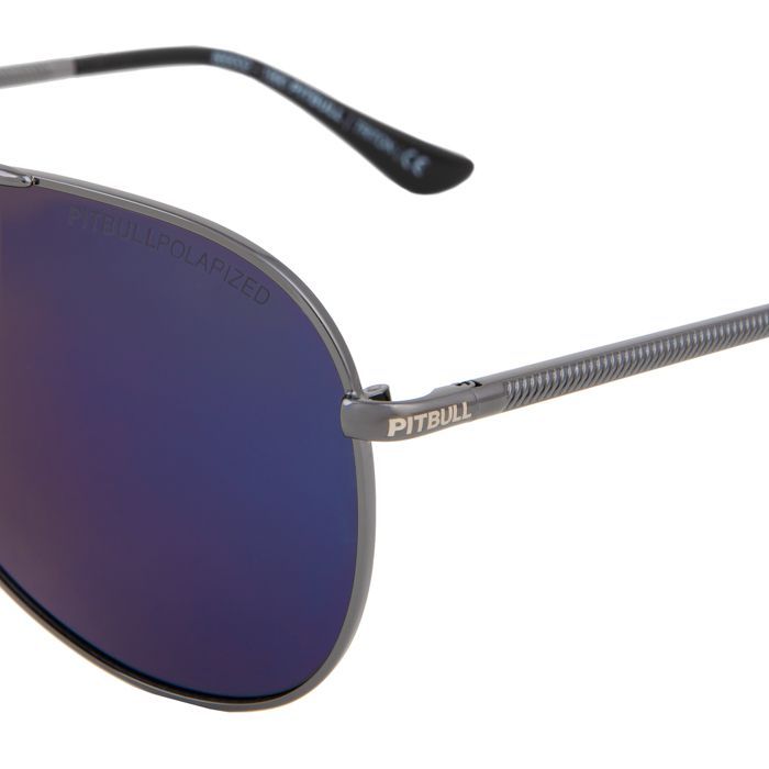 Sunglasses Triton