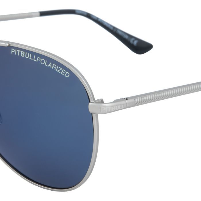 Sunglasses Triton