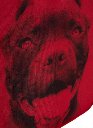 Ruksak Pitbull IR