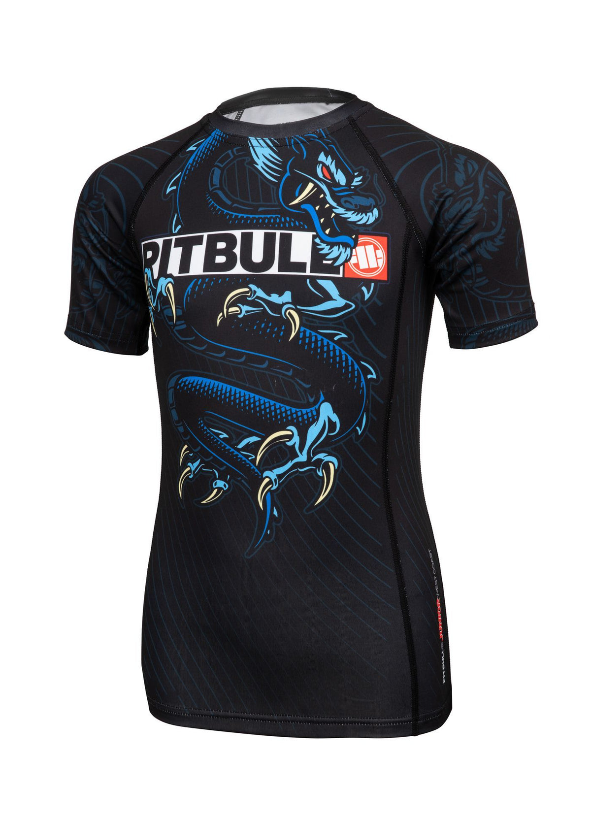 Kids Rashguard Blue Dragon