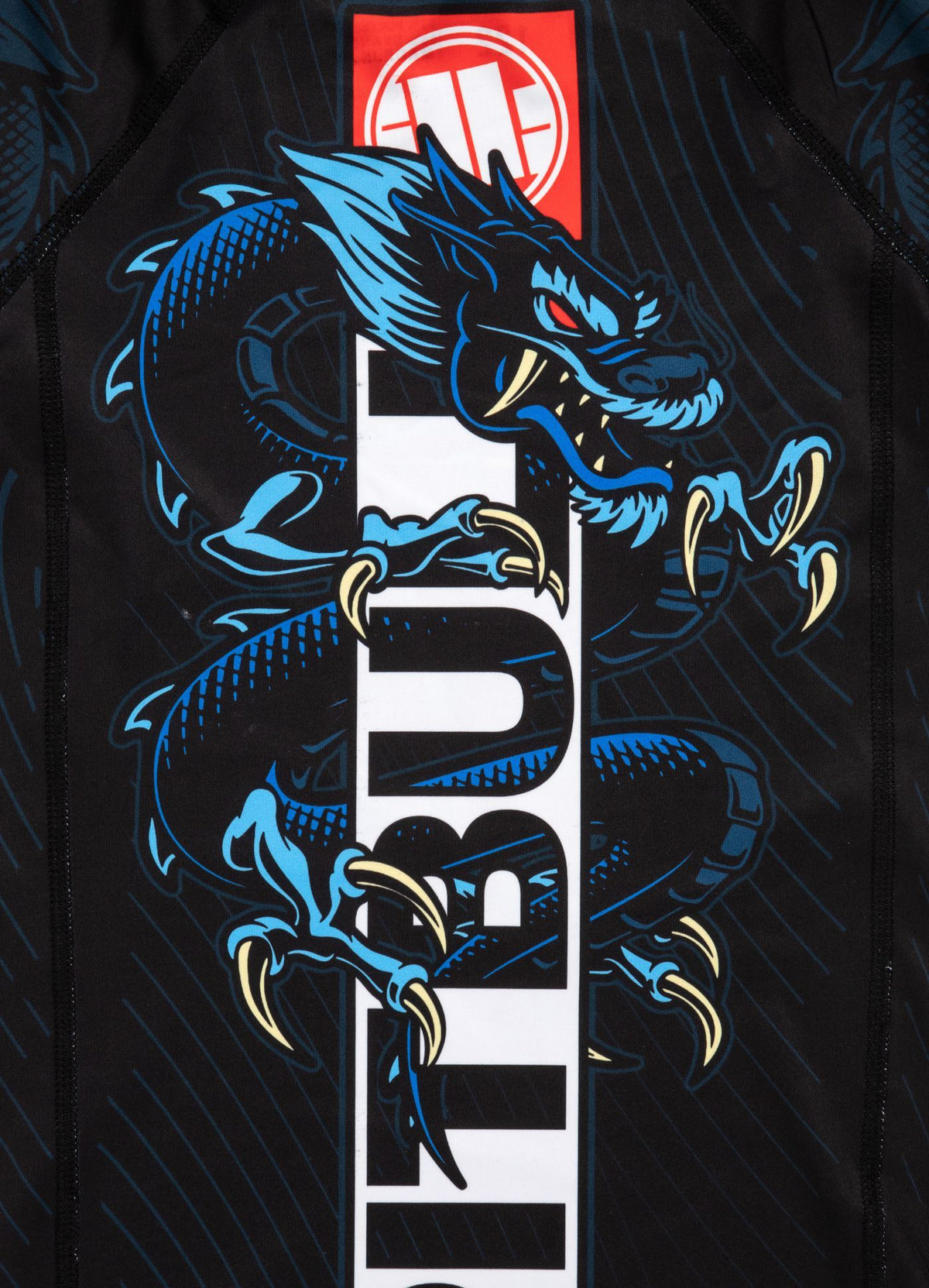 Kids Rashguard Blue Dragon