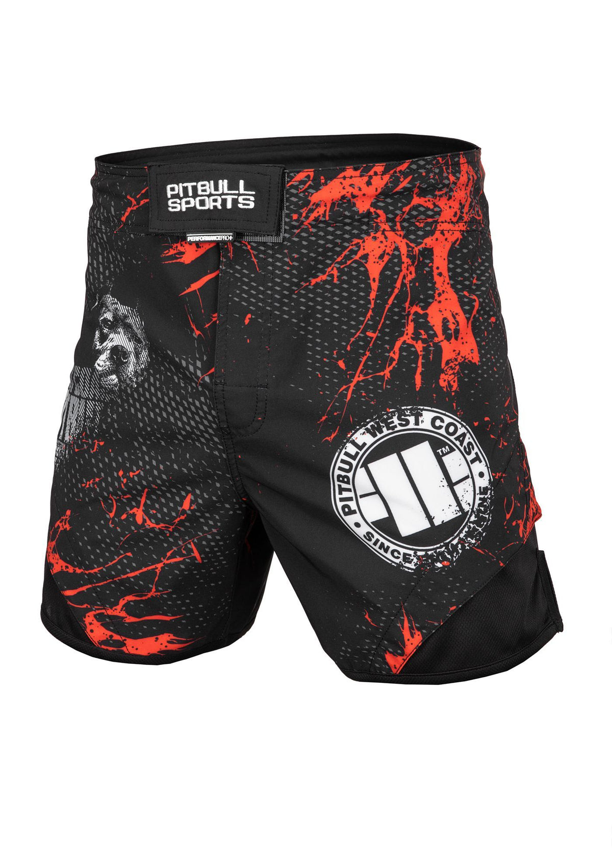 Training shorts Jet Mesh Performance Pro plus Blood Dog