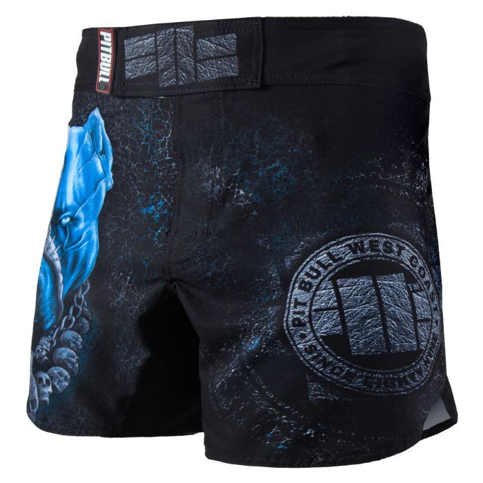 Training Shorts Jet Skull Dog