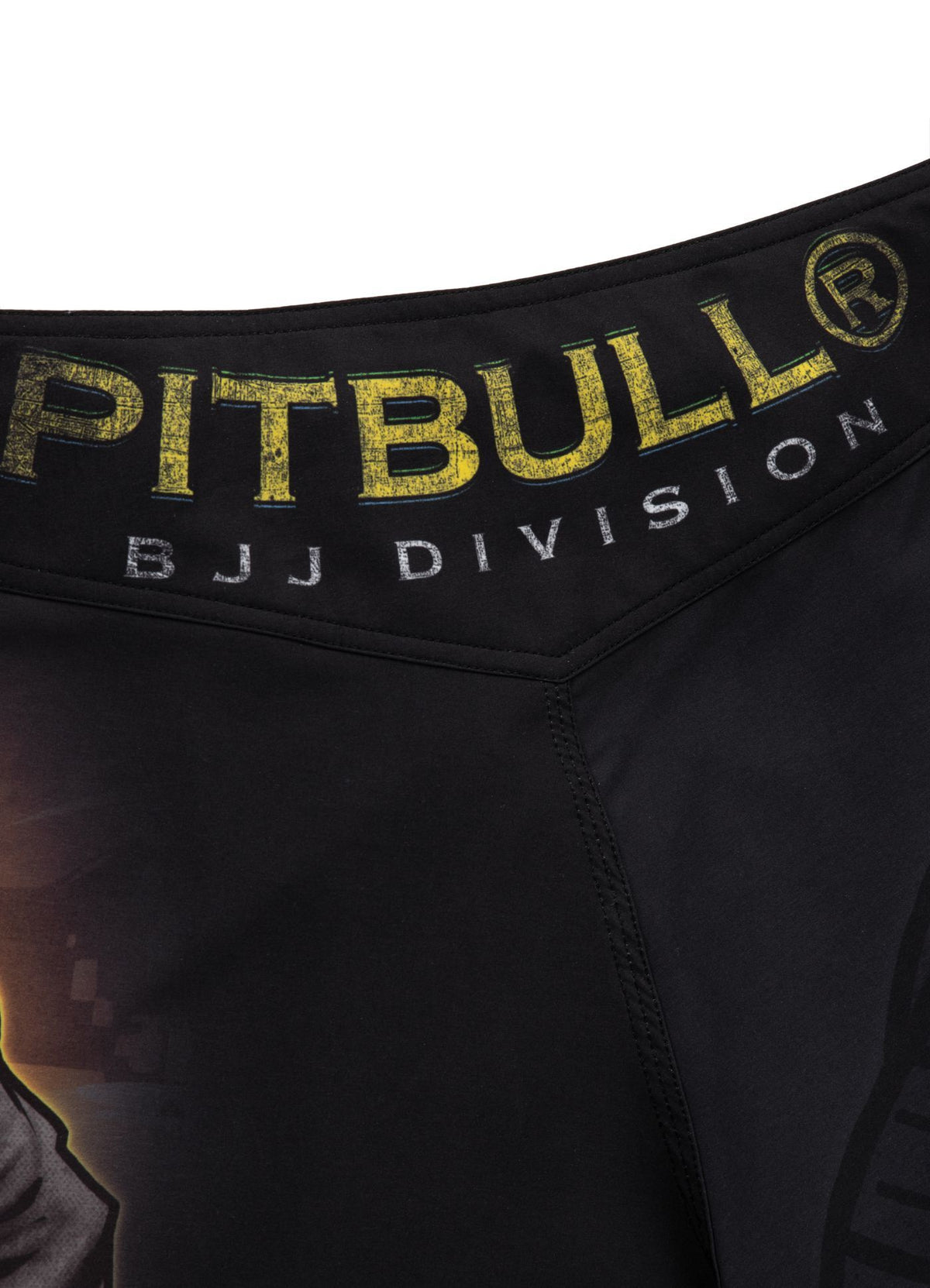 Fight Shorts Mesh BJJ