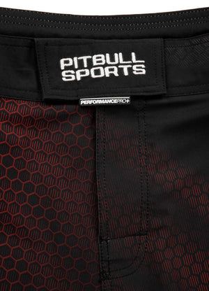 Fight Shorts Mesh New Raster