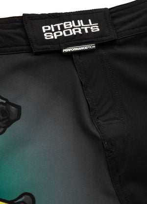 Training shorts Mesh Performance Pro plus Masters of BJJ