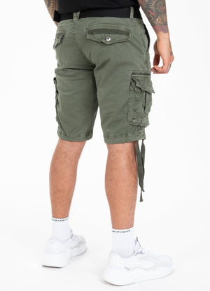 Cargo shorts Carver